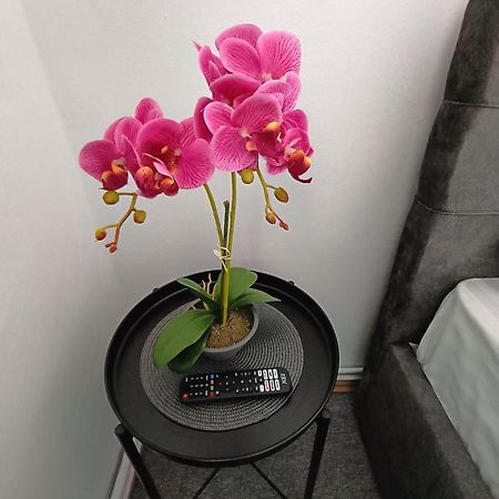 Chic Boutique Dumbrava Apartment Sibiu Bagian luar foto